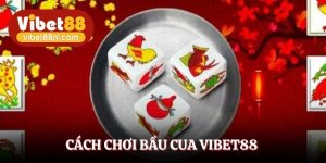 Cách Chơi Bầu Cua Vibet88 Dễ Hiểu Ai Cũng Áp Dụng Được