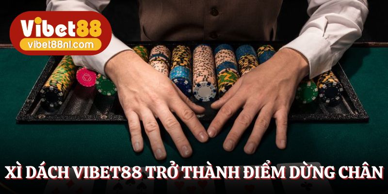 Vì sao xì dách Vibet88 trở thành điểm dừng chân của dân bài thủ