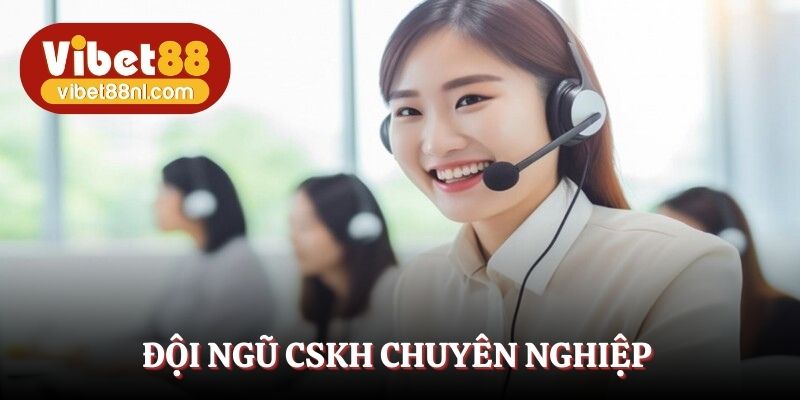 Đội ngũ CSKH chuyên nghiệp