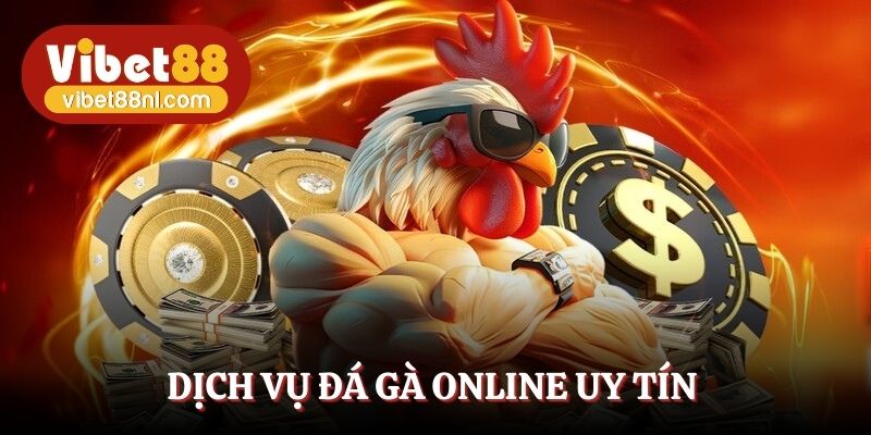 Dịch vụ đá gà online uy tín