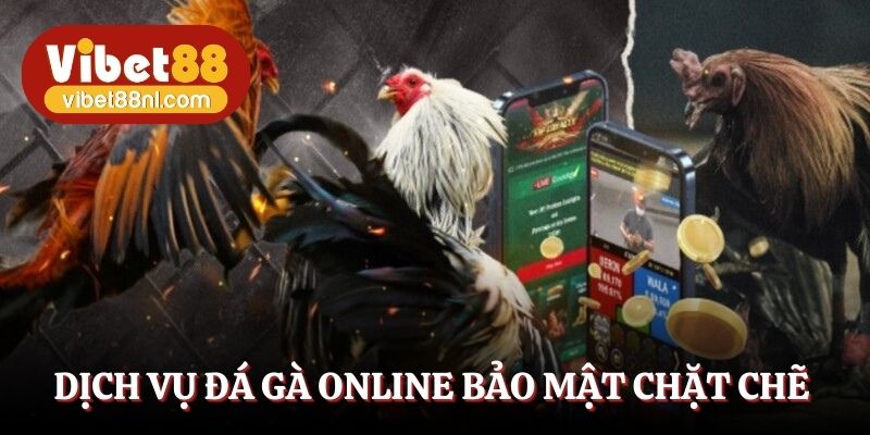 Dịch vụ đá gà online bảo mật chặt chẽ