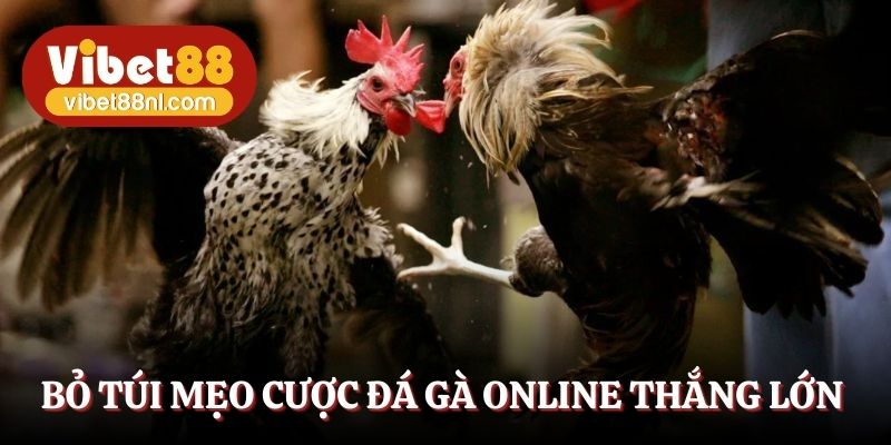 Bỏ túi mẹo cược đá gà online thắng lớn