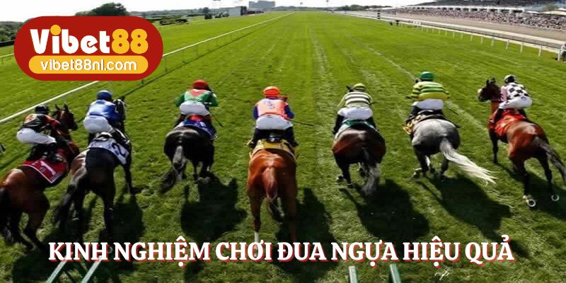 Kinh nghiệm đua ngựa là phân tích, quản lý tiền, chọn thời điểm