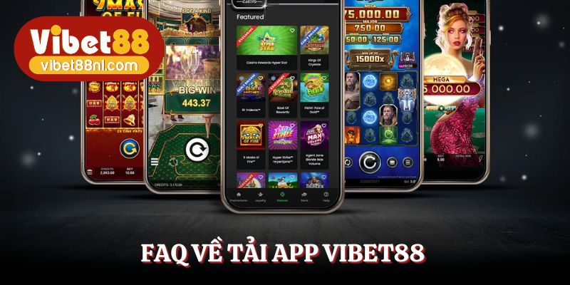 Câu hỏi về thủ tục cài đặt được giải đáp rõ ràng